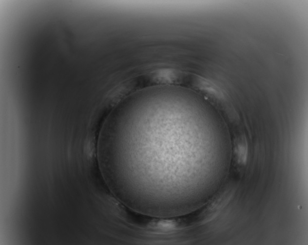 X0000088400665200705291430