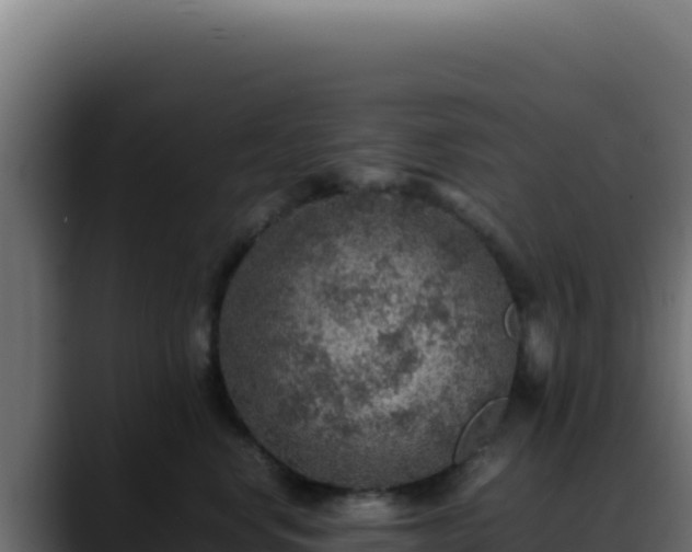 X0000088400668200705291430