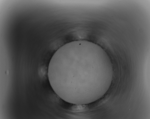 X0000088400672200705291430