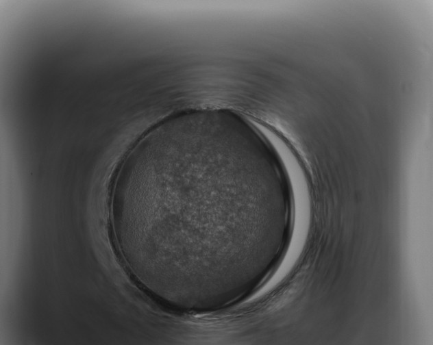 X0000088400673200705291429