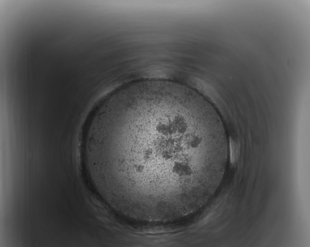 X0000088400675200705291429