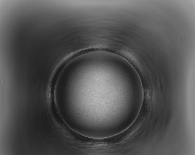 X0000088400676200705291429