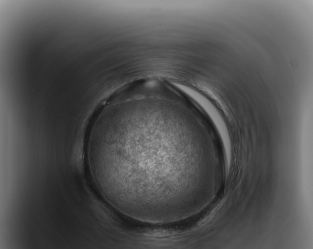 X0000088400677200705291429