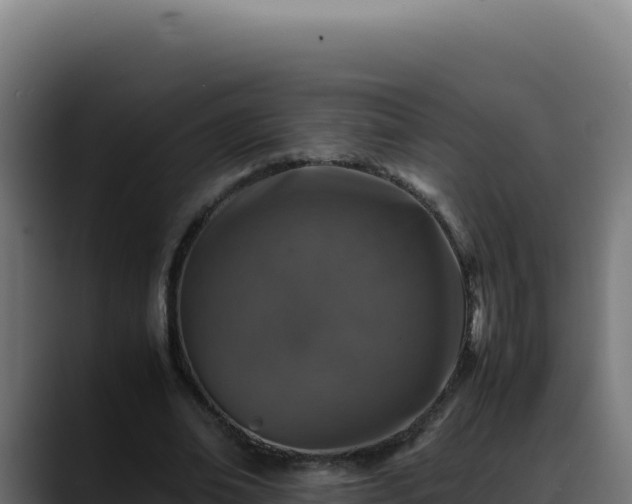 X0000088400678200705291429