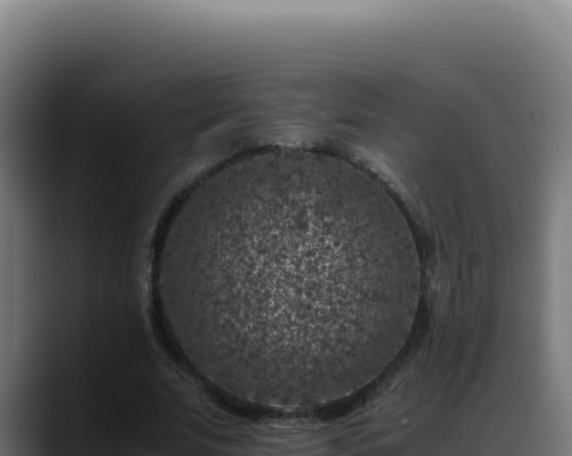 X0000088400679200705291429