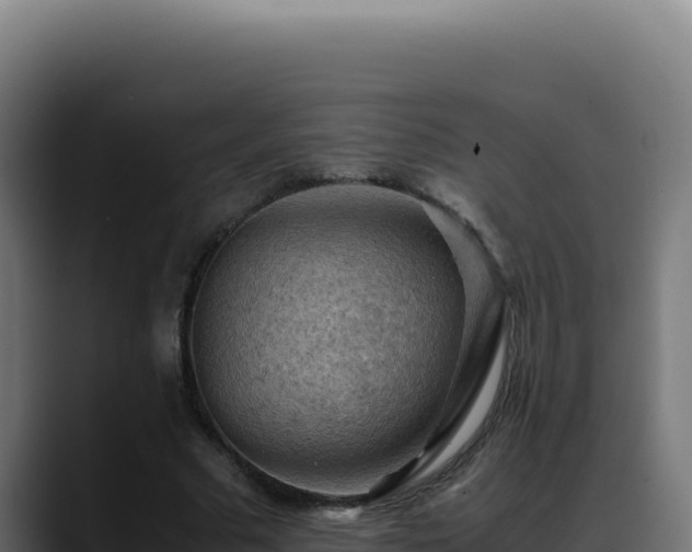 X0000088400681200705291429