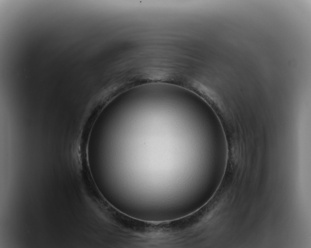 X0000088400682200705291429