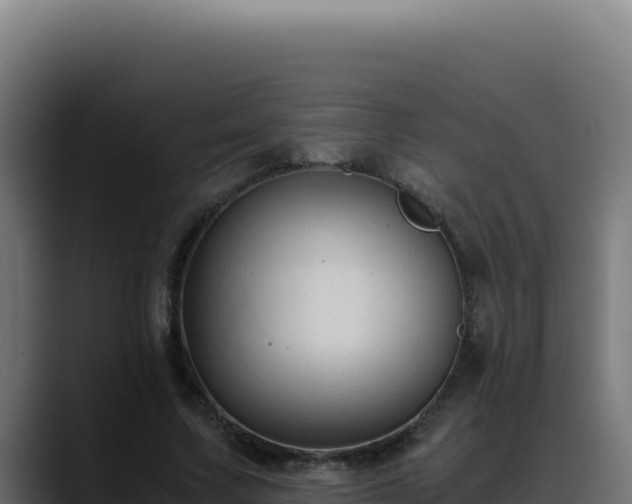 X0000088400683200705291429