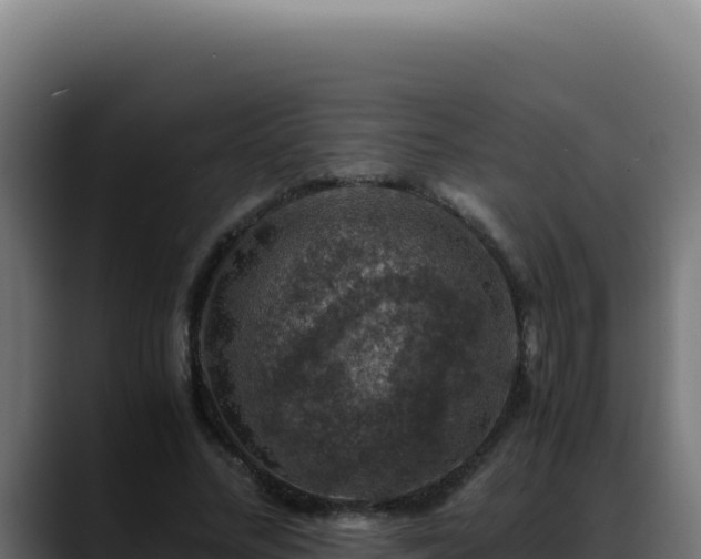 X0000088400684200705291429