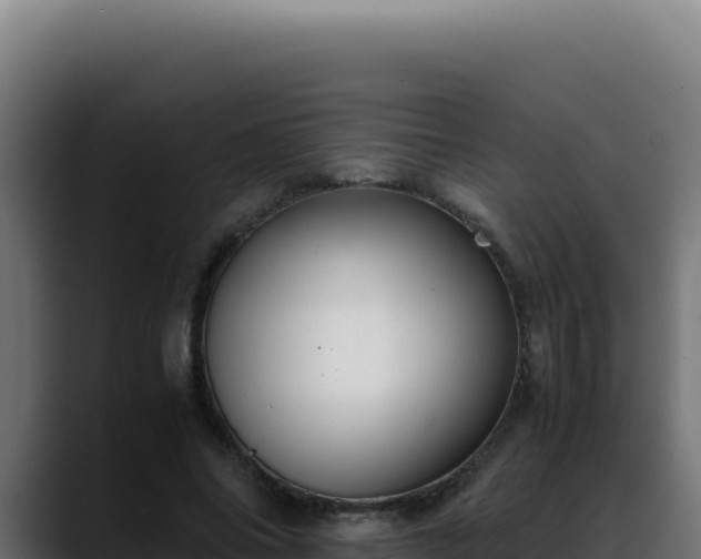 X0000088400686200705291429