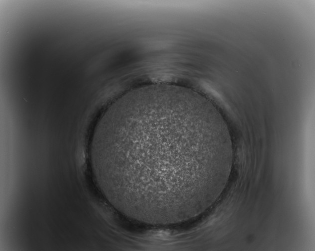 X0000088400687200705291429