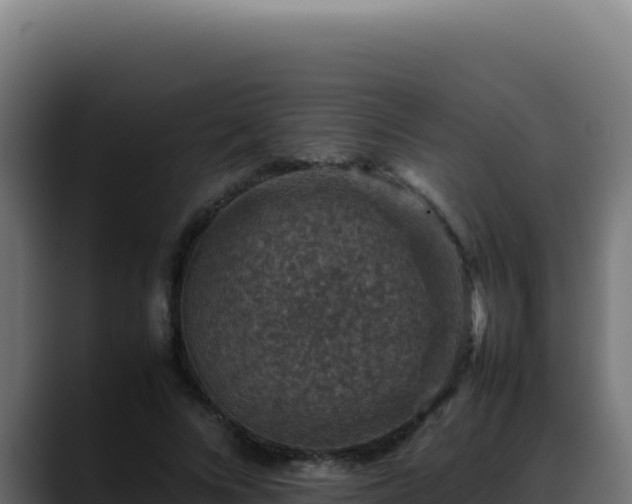 X0000088400688200705291429