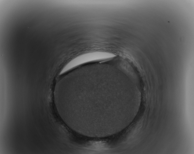 X0000088400689200705291429