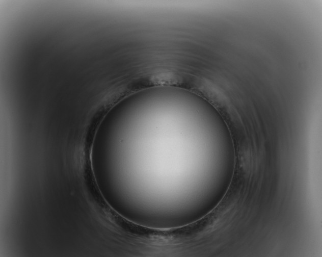 X0000088400690200705291429