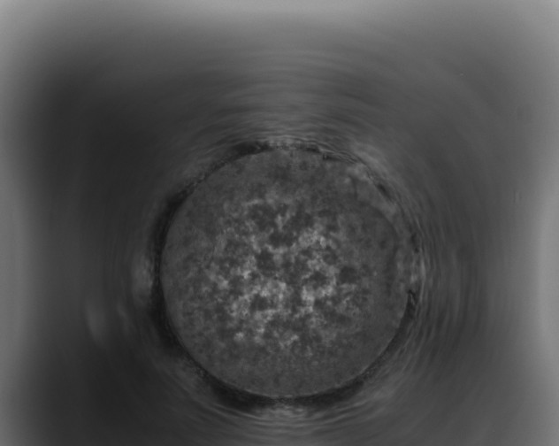 X0000088400691200705291429