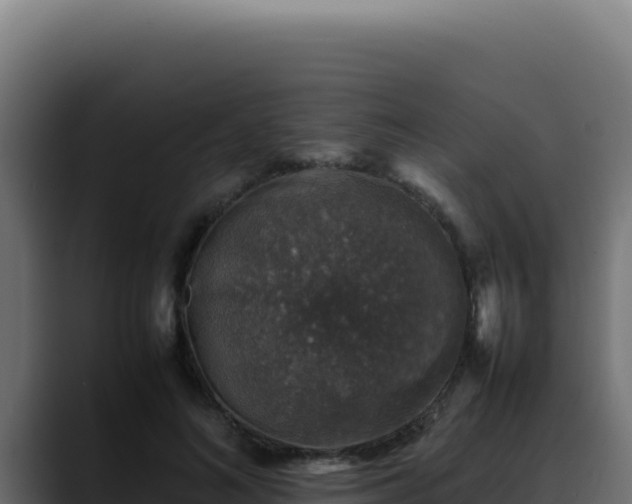 X0000088400692200705291429