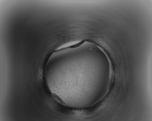 X0000088400693200705291429