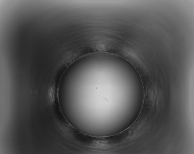 X0000088400694200705291429