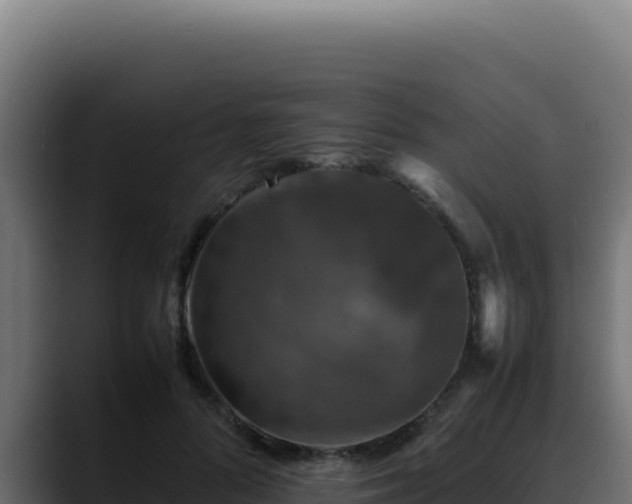 X0000088400696200705291429