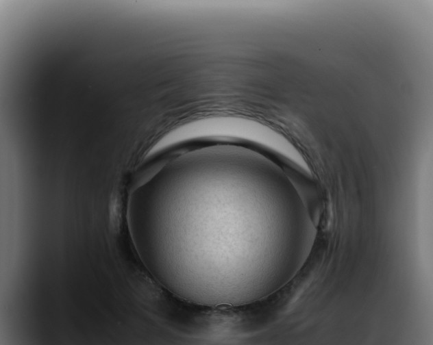 X0000088400697200705291429