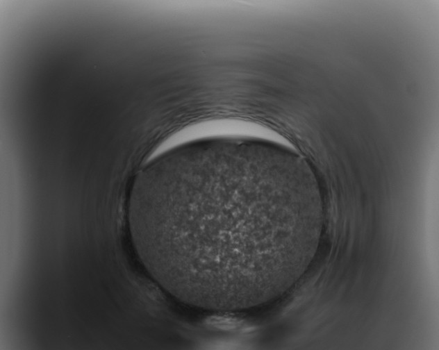 X0000088400699200705291429