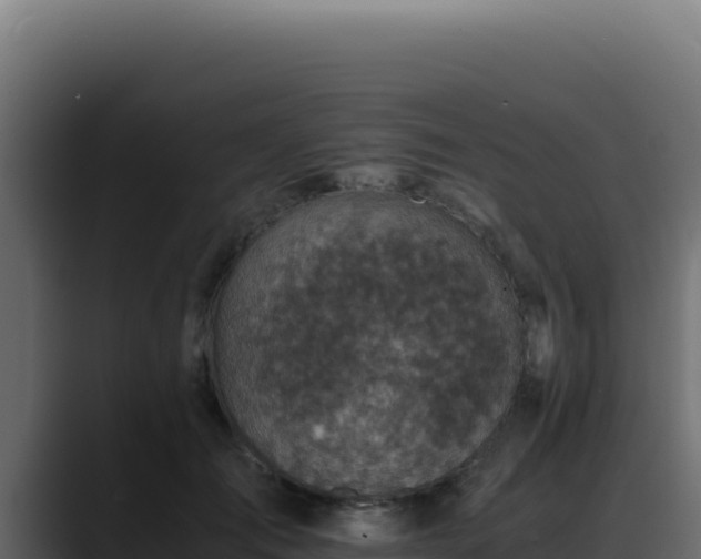 X0000088400701200705291429