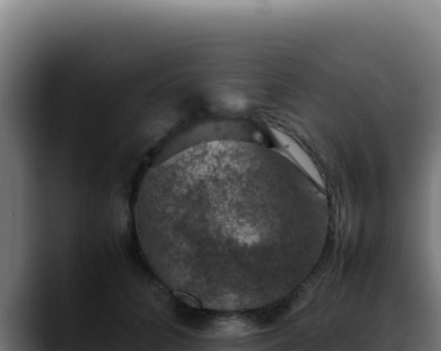 X0000088400704200705291429