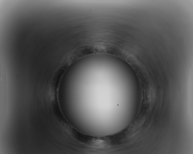 X0000088400706200705291429