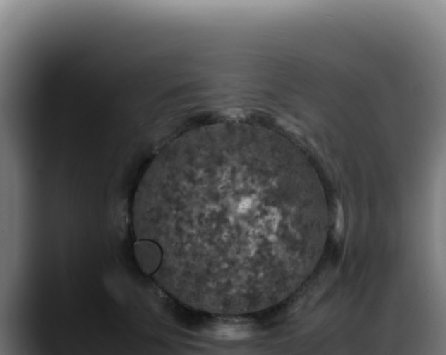 X0000088400707200705291429