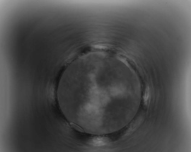 X0000088400708200705291429