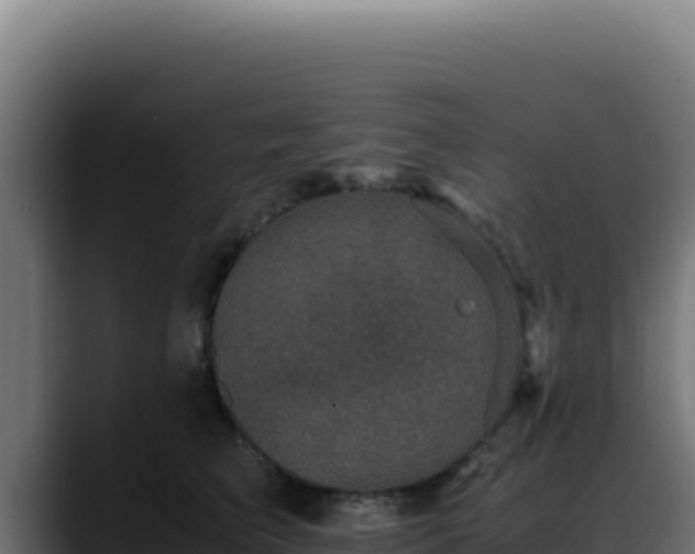 X0000088400709200705291429