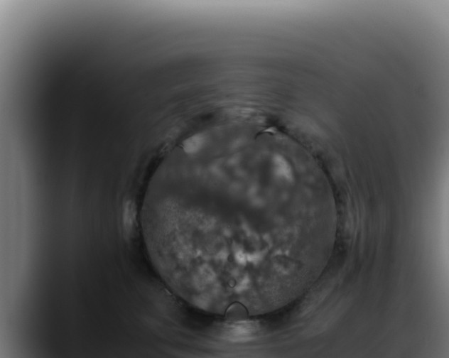 X0000088400711200705291429