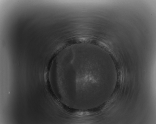 X0000088400712200705291429