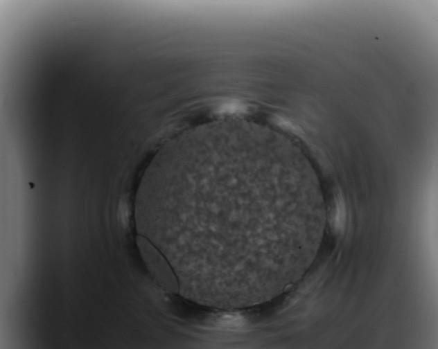 X0000088400715200705291429