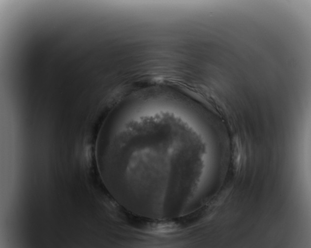 X0000088400716200705291429