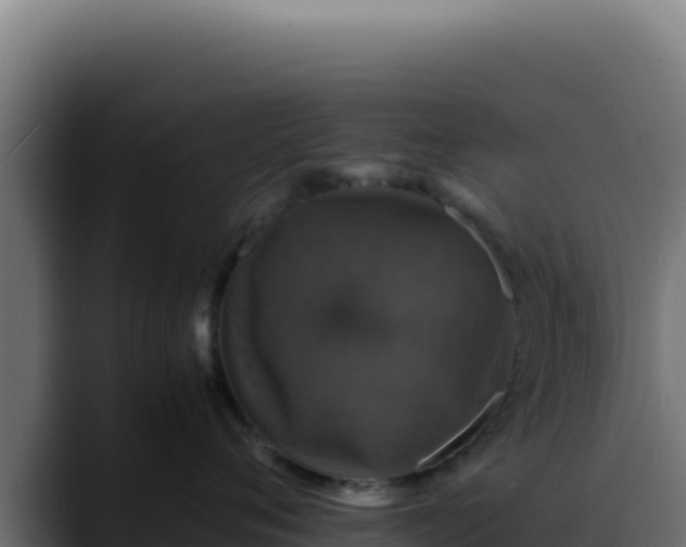 X0000088400720200705291429