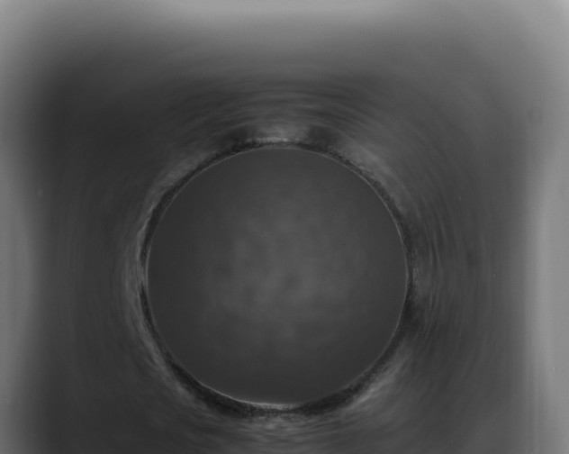 X0000088400721200705291428