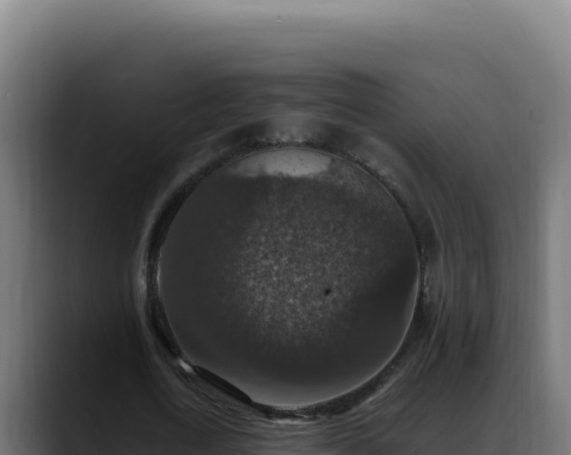 X0000088400722200705291428