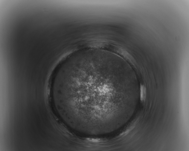 X0000088400723200705291428