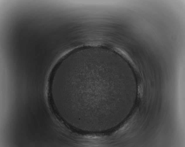 X0000088400724200705291428