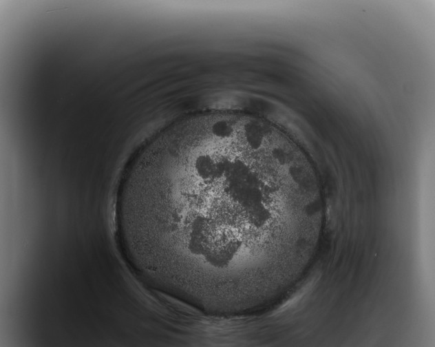 X0000088400725200705291428