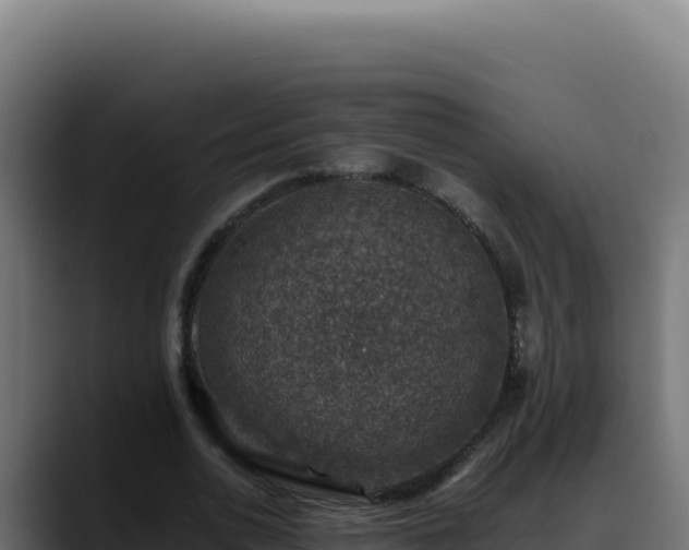 X0000088400726200705291428