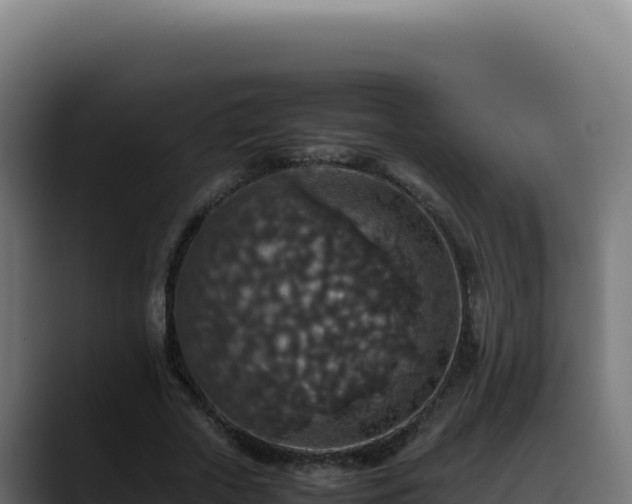 X0000088400729200705291428