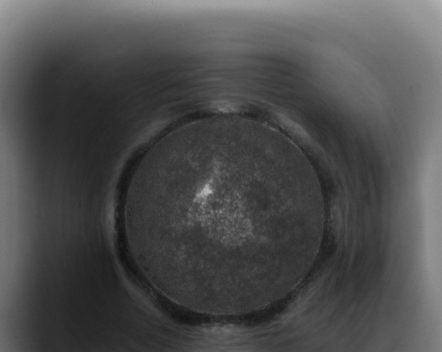 X0000088400730200705291428