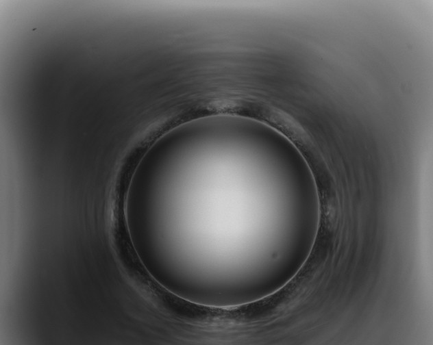 X0000088400732200705291428