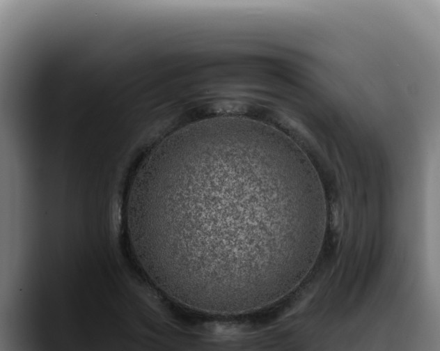 X0000088400733200705291428