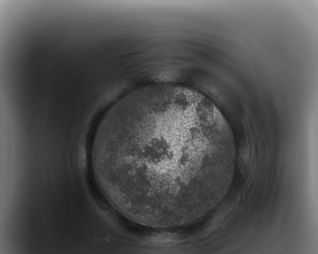 X0000088400734200705291428