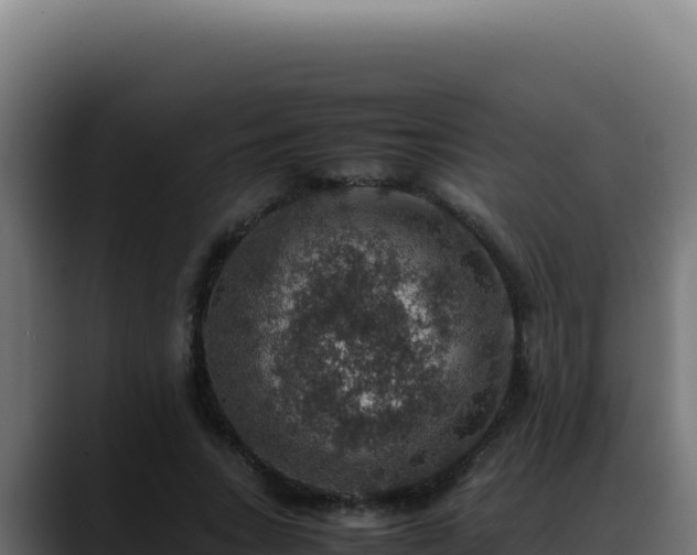 X0000088400735200705291428