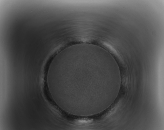 X0000088400736200705291428