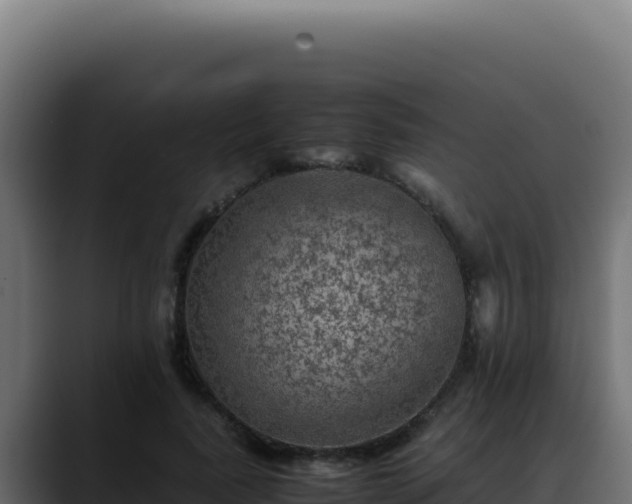 X0000088400739200705291428